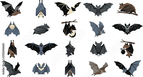 Bat vector collection with various flying and hanging microbat species in flat design