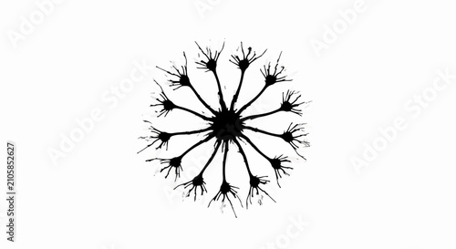 Abstract black silhouette of a dandelion seed head against a white background