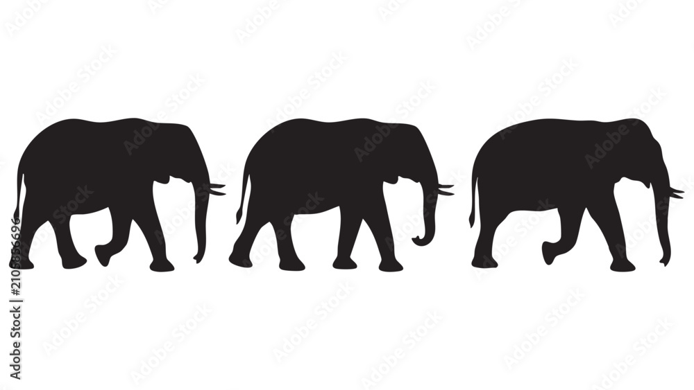 Fototapeta premium Elephant silhouettes against a white background a simple graphic representation