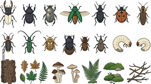 Vector set of various beetle species icons, grub larvae, and forest nature elements in flat design style