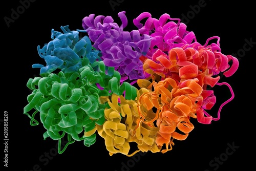 Colorful protein structure, six subunits, helical chains, complex molecule