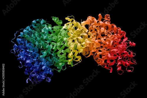 Colorful, intricate protein structure with a rainbow gradient against a black background