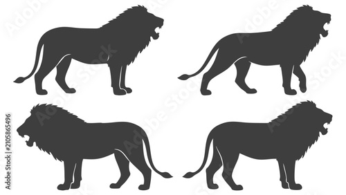 Lion silhouettes in various poses black vector graphics on a white background