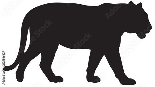 Cuadro en lienzo Tiger silhouette against a white background a stark black animal shape