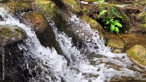 Small Artificial Rocky Waterfall with Mossy Stones in a Garden