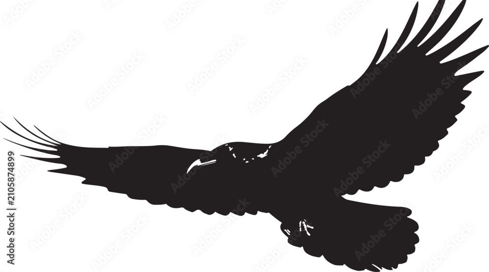 Obraz premium A detailed black vector silhouette of an eagle in mid-flight with outstretched wings isolated on a white background.
