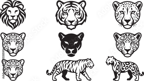 Canvas Print Majestic big cat collection lions tigers leopards and panthers in black and whit