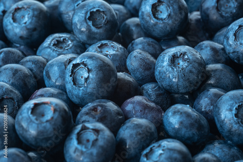 fresh blueberries close up