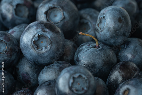 blueberries close up