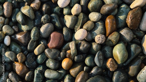 Fotografie pebbles on the beach