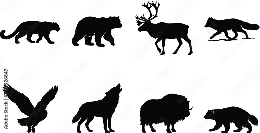 Obraz premium Wildlife Animal Vector Silhouette Set with Bear Wolf Fox Eagle Reindeer Bison Wolverine and Big Cat Isolated on White Background