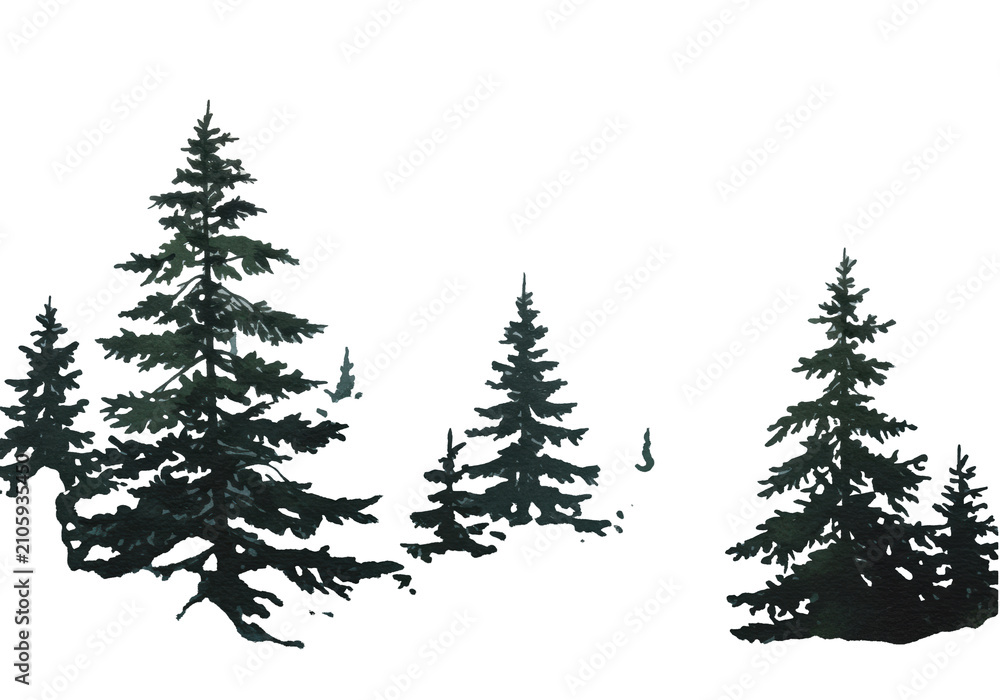 Fototapeta premium traditional watercolor wet-on-wet technique showing dark pine silhouettes receding into dense fog against white copy space, conveying isolated nature mystery concept
