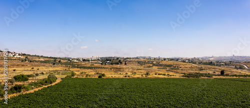 Φωτογραφία Panoramic view of an extensive green vineyard field bordering rolling yellow fields and an arid rural landscape under a clear horizon