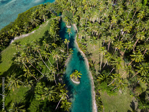 Aerial View of a Winding Tropical Channel