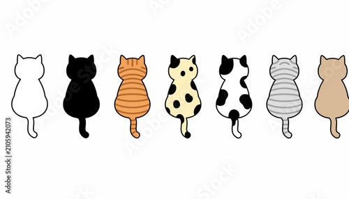 Foto Cats of different breeds and fur patterns are sitting in a row facing away from the observer