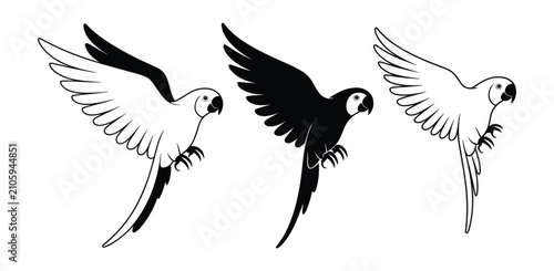 Bild auf Leinwand Parrot Flight Collection: A collection of three stylized parrot illustrations in black and white, depicting parrots in mid-flight, showcasing their wings and avian grace