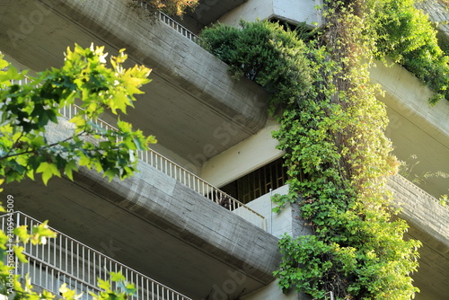 Climbing Vegetation Covering a Brutalist Concrete Residential Building