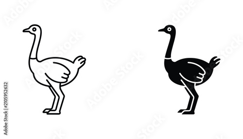 Photography Ostrich vector icon isolated on white Black and white outline line art and solid