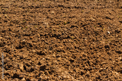 Fresh dug soil preparation for next planting season.