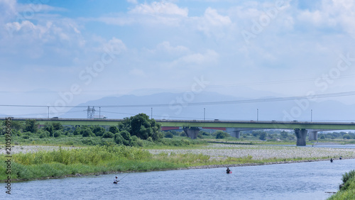 鮎の友釣り風景
