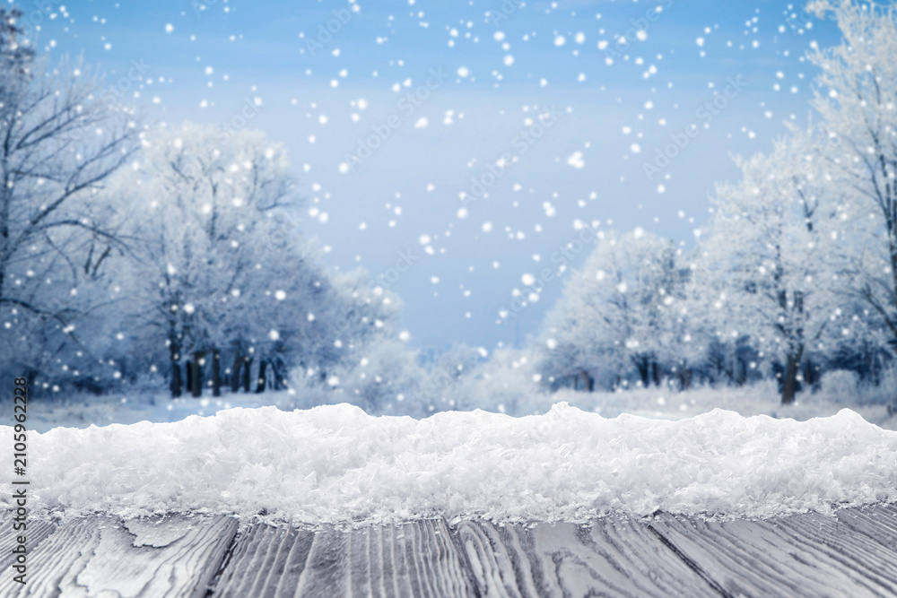 Fototapeta premium Snowy surface against trees, selective focus. Winter season