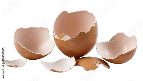 Tablou pe pânză Isolated broken brown speckled chicken eggshells with inner membrane visible, co