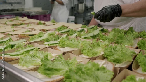 Caucasian male chef in black gloves prepares fresh salad ingredients, layering lettuce and cucumber slices in biodegradable containers on a stainless steel table in a commercial kitchen