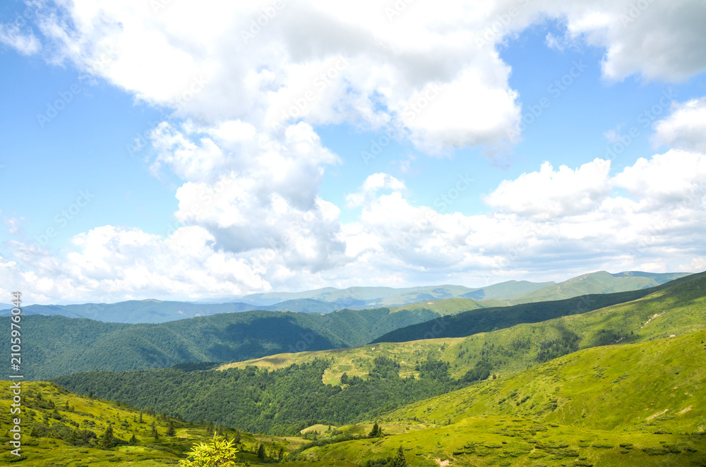 Obraz premium Sunlit green mountains and rolling hills unfold into wide meadow filled valley under dramatic cloudscape and bright blue sky evoking peaceful, scenic summer travel and outdoor exploration. Carpathians
