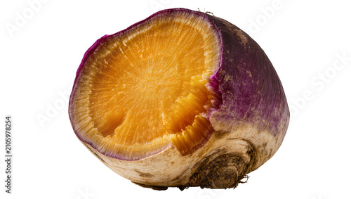 Foto Isolated fresh raw rutabaga root vegetable cut in half revealing orange and purp