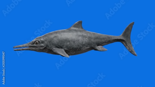 A detailed 3D model of an Ichthyosaurus, an extinct prehistoric marine reptile, swims smoothly in a side profile against a solid chroma key blue screen background. This animated underwater asset is pe