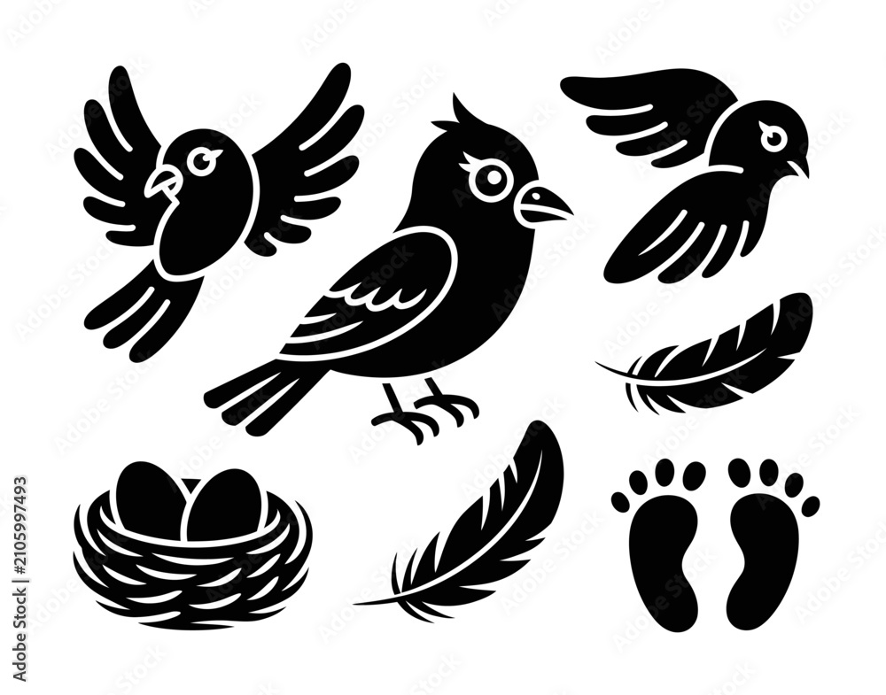 Fototapeta premium Black bird silhouettes with nest feathers and footprints on a transparent background, avian birds' feathers