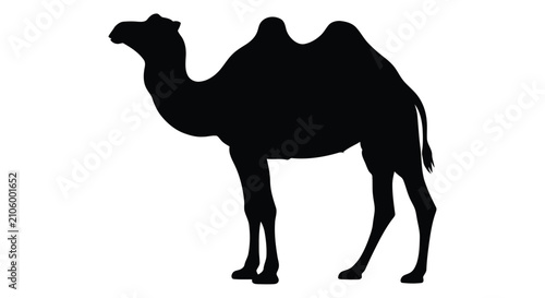 Foto Silhouette of a dromedary camel standing in profile against a white background