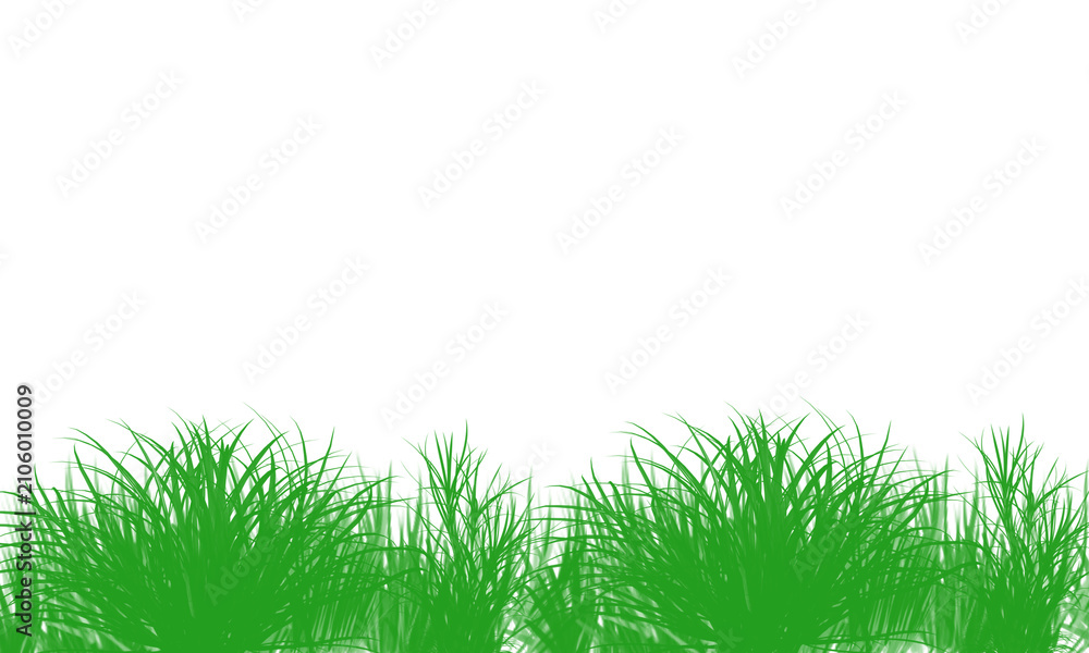 Fototapeta premium Green grass blades illustration on transparent background