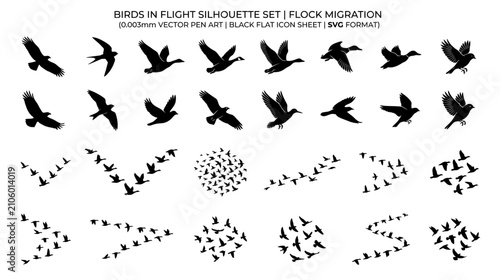Fotografía Bird Flock Migration Silhouettes Set