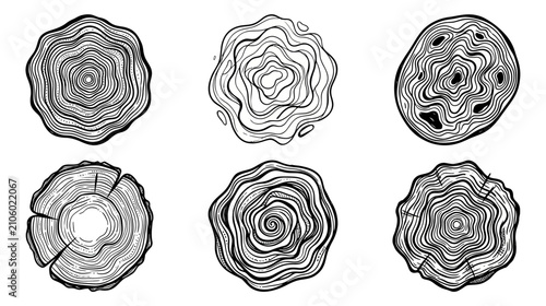 Set of Six Hand-Drawn Tree Ring Patterns