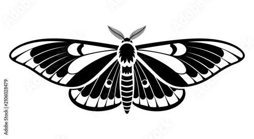 Obraz na płótnie Black and white vector illustration of a moth with detailed patterned wings and feathery antennae, representing insects, nature, wildlife, and decorative art