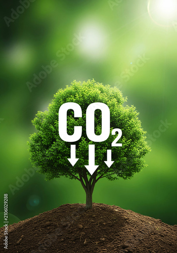 carbon dioxide co2 emission reduction concept with glowing tree in dry soil