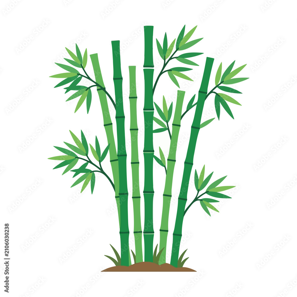 Obraz premium Green bamboo stalks with leaves on white background