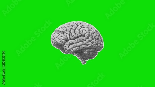 Halftone paper brain unfold animation video