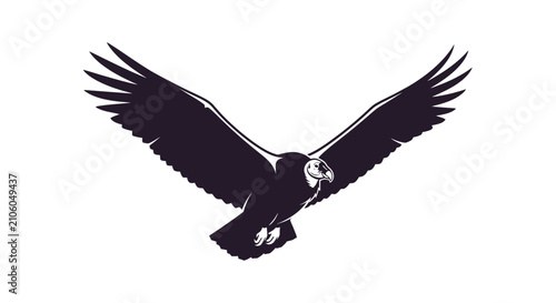 Obraz na płótnie Soaring Andean condor bird silhouette illustration