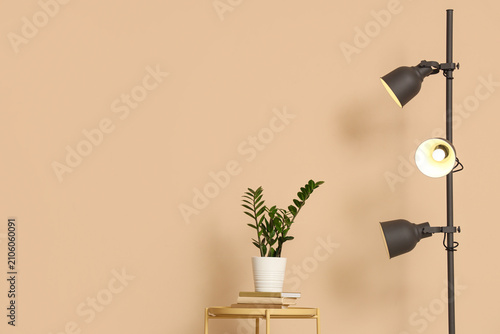 Houseplant, books on coffee...