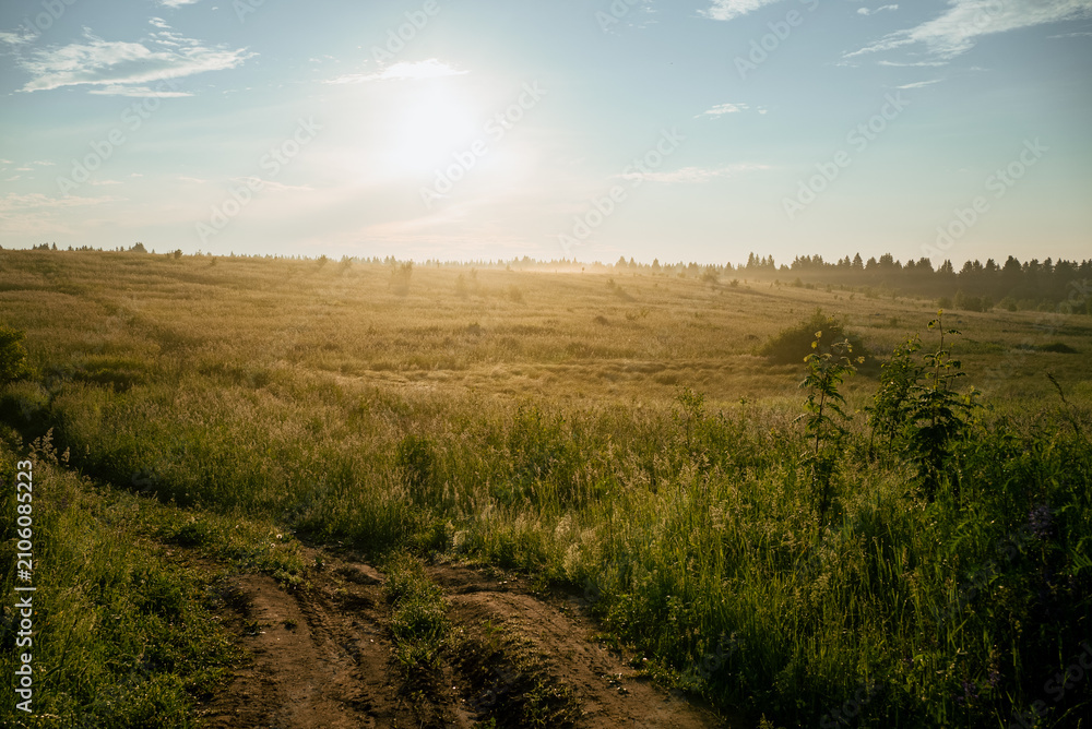 Obraz premium Dirt road winding through a vast field of tall, golden green grass under a bright morning sun, with the distant horizon featuring a line of trees under a light haze