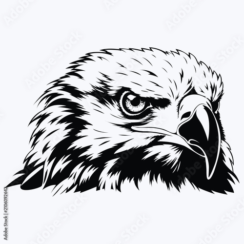 Majestic Eagle Head Silhouette Vector Illustration Bird of Prey Wildlife Raptor Mascot Emblem Design