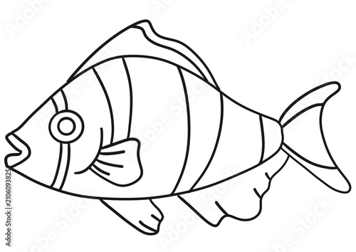 Simple tiger barb fish outline vector isolated on white background, black and white line art illustration for kids coloring book, aquarium decor, or educational activity.