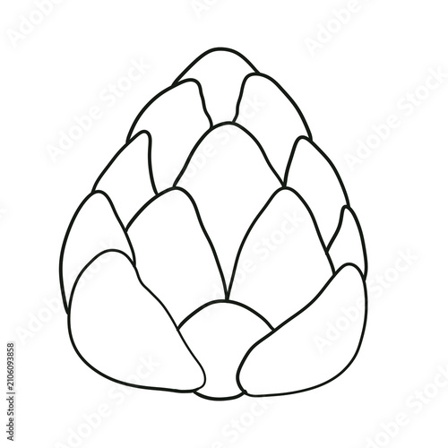 Simple artichoke outline vector isolated on white background, black and white line art illustration for kids coloring book, kitchen decor, or food menu.