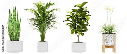 Konstfotografi Collection of modern potted houseplants for interior design decoration isolated