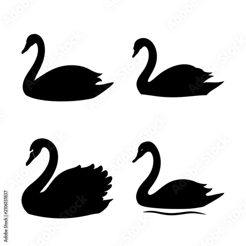 Four black swans in a simple arrangement - Minimalist vector illustration of four black swans gracefully aligned in a clean, symmetrical composition. Ideal for nature, design, and editorial projects.