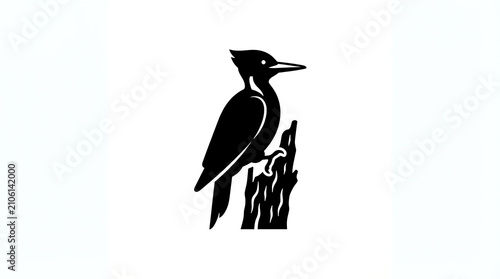 Woodpecker bird silhouette perched on tree trunk bark searching for insects in forest.