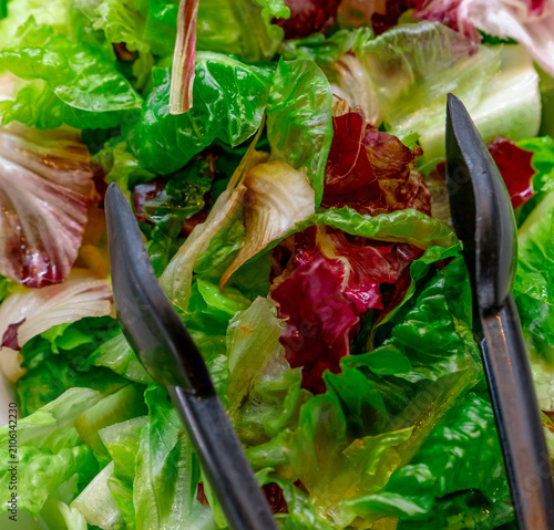 Canvas Print Closeup green and purple lettuce