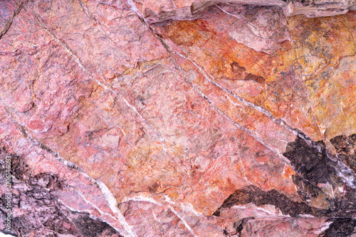Foto Close up of petrified wood texture featuring fossilized mineral patterns in pink, orange and purple tones